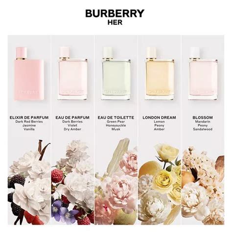 notas olfativas burberry london|burberry her perfumes.